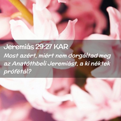 Picture 02 - Jeremiás 29:27 KAR - Most azért, miért nem dorgáltad meg az - Bible Verse Picture