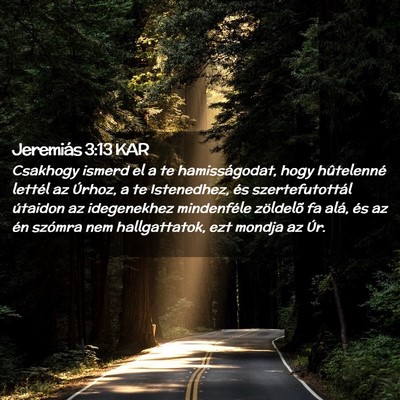 Picture 02 - Jeremiás 3:13 KAR - Csakhogy ismerd el a te hamisságodat, hogy - Bible Verse Picture