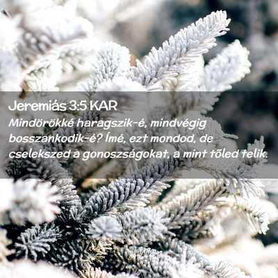 Picture 02 - Jeremiás 3:5 KAR - Mindörökké haragszik-é, mindvégig - Bible Verse Picture