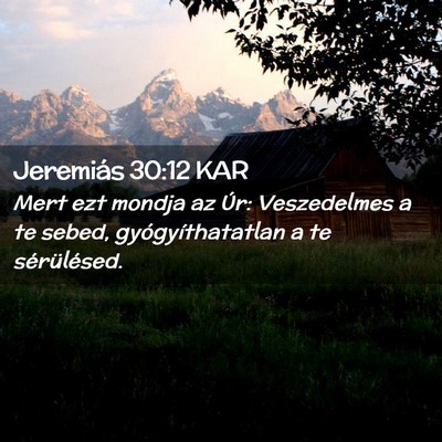 Picture 02 - Jeremiás 30:12 KAR - Mert ezt mondja az Úr: Veszedelmes a te sebed, - Bible Verse Picture