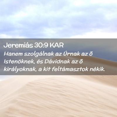 Picture 02 - Jeremiás 30:9 KAR - Hanem szolgálnak az Úrnak az õ Istenöknek, - Bible Verse Picture