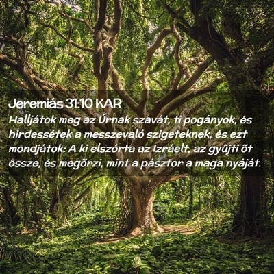 Picture 02 - Jeremiás 31:10 KAR - Halljátok meg az Úrnak szavát, ti pogányok, - Bible Verse Picture