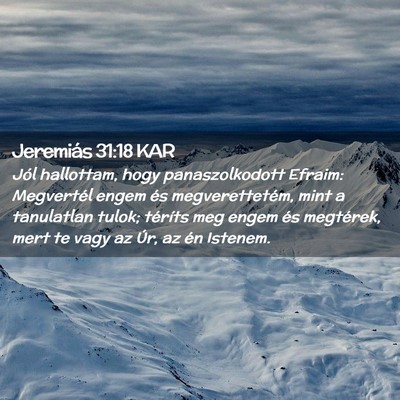 Picture 02 - Jeremiás 31:18 KAR - Jól hallottam, hogy panaszolkodott Efraim: - Bible Verse Picture