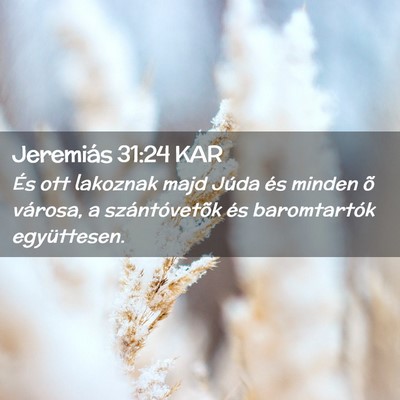 Picture 02 - Jeremiás 31:24 KAR - És ott lakoznak majd Júda és minden õ - Bible Verse Picture