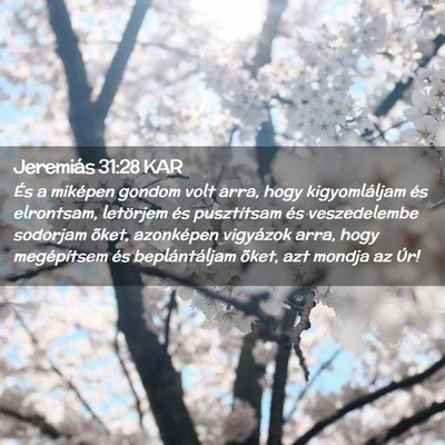 Picture 02 - Jeremiás 31:28 KAR - És a miképen gondom volt arra, hogy - Bible Verse Picture