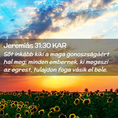 Picture 02 - Jeremiás 31:30 KAR - Sõt inkább kiki a maga gonoszságáért hal - Bible Verse Picture