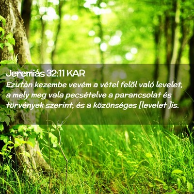 Picture 02 - Jeremiás 32:11 KAR - Ezután kezembe vevém a vétel felõl való - Bible Verse Picture