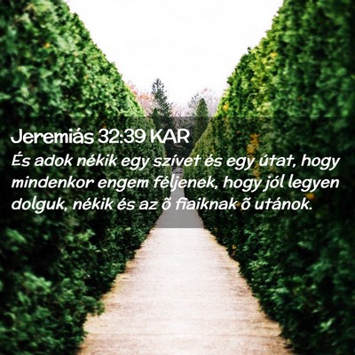 Picture 02 - Jeremiás 32:39 KAR - És adok nékik egy szívet és egy útat, hogy - Bible Verse Picture