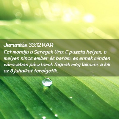 Picture 02 - Jeremiás 33:12 KAR - Ezt mondja a Seregek Ura: E puszta helyen, a - Bible Verse Picture