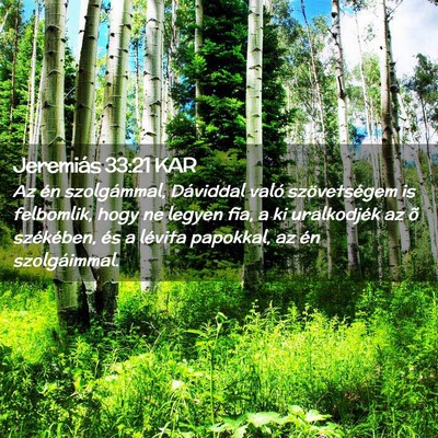 Picture 02 - Jeremiás 33:21 KAR - Az én szolgámmal, Dáviddal való szövetségem - Bible Verse Picture