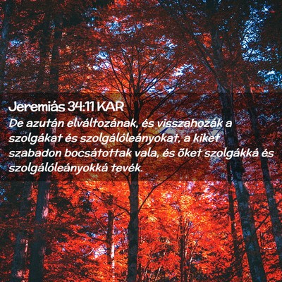 Picture 02 - Jeremiás 34:11 KAR - De azután elváltozának, és visszahozák a - Bible Verse Picture
