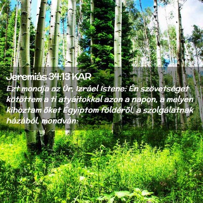 Picture 02 - Jeremiás 34:13 KAR - Ezt mondja az Úr, Izráel Istene: Én - Bible Verse Picture