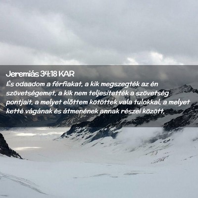 Picture 02 - Jeremiás 34:18 KAR - És odaadom a férfiakat, a kik megszegték az - Bible Verse Picture