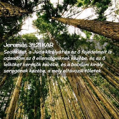 Picture 02 - Jeremiás 34:21 KAR - Sedékiást, a Júda királyát és az õ - Bible Verse Picture