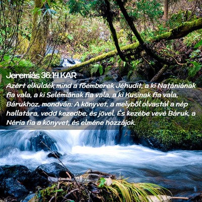 Picture 02 - Jeremiás 36:14 KAR - Azért elküldék mind a fõemberek Jéhudit, a - Bible Verse Picture