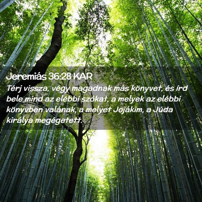 Picture 02 - Jeremiás 36:28 KAR - Térj vissza, végy magadnak más könyvet, és - Bible Verse Picture
