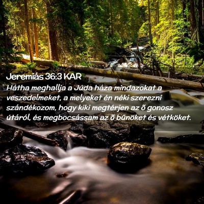 Picture 02 - Jeremiás 36:3 KAR - Hátha meghallja a Júda háza mindazokat a - Bible Verse Picture