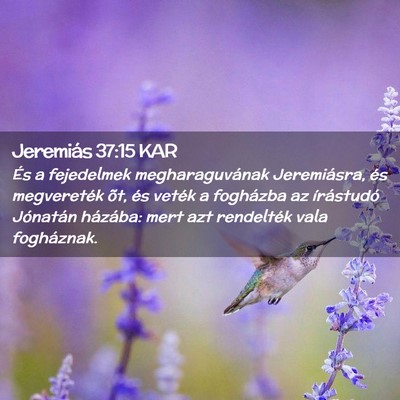 Picture 02 - Jeremiás 37:15 KAR - És a fejedelmek megharaguvának Jeremiásra, és - Bible Verse Picture