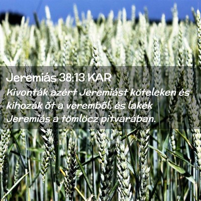 Picture 02 - Jeremiás 38:13 KAR - Kivonták azért Jeremiást köteleken és - Bible Verse Picture