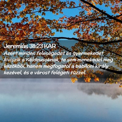 Picture 02 - Jeremiás 38:23 KAR - Azért minden feleségedet és gyermekedet - Bible Verse Picture