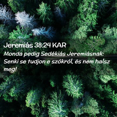 Picture 02 - Jeremiás 38:24 KAR - Monda pedig Sedékiás Jeremiásnak: Senki se - Bible Verse Picture