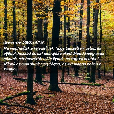 Picture 02 - Jeremiás 38:25 KAR - Ha meghallják a fejedelmek, hogy beszéltem - Bible Verse Picture