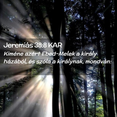 Picture 02 - Jeremiás 38:8 KAR - Kiméne azért Ebed-Melek a király házából, - Bible Verse Picture