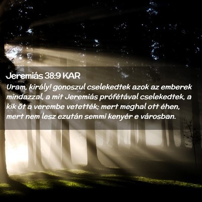 Picture 02 - Jeremiás 38:9 KAR - Uram, király! gonoszul cselekedtek azok az - Bible Verse Picture