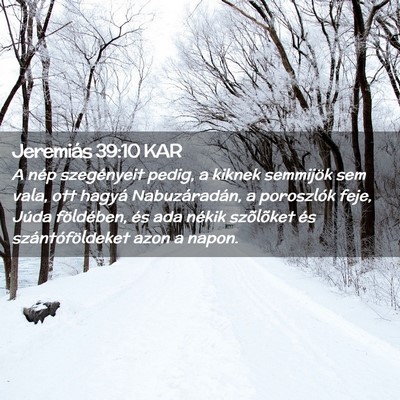 Picture 02 - Jeremiás 39:10 KAR - A nép szegényeit pedig, a kiknek semmijök sem - Bible Verse Picture