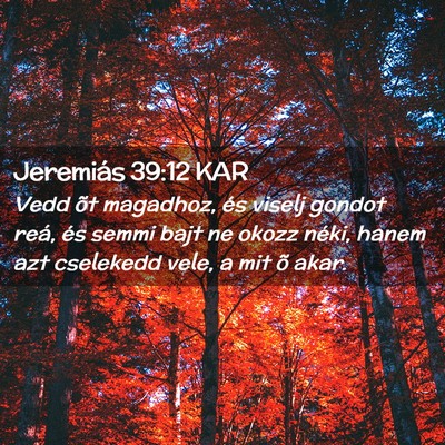 Picture 02 - Jeremiás 39:12 KAR - Vedd õt magadhoz, és viselj gondot reá, és - Bible Verse Picture