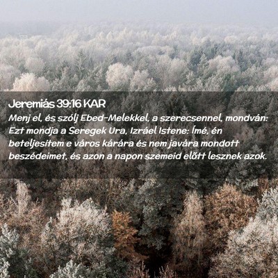 Picture 02 - Jeremiás 39:16 KAR - Menj el, és szólj Ebed-Melekkel, a - Bible Verse Picture