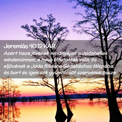 Picture 02 - Jeremiás 40:12 KAR - Azért haza jövének mindnyájan a Júdabeliek - Bible Verse Picture