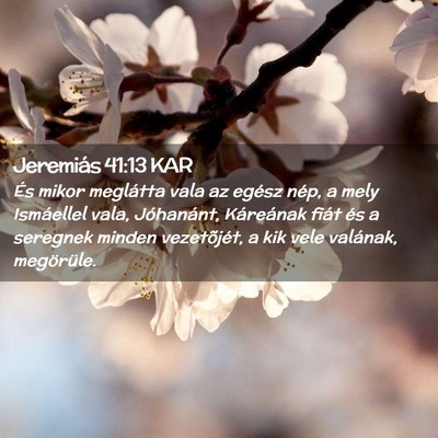 Picture 02 - Jeremiás 41:13 KAR - És mikor meglátta vala az egész nép, a mely - Bible Verse Picture