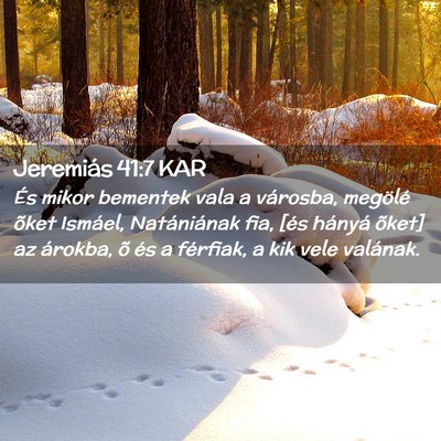 Picture 02 - Jeremiás 41:7 KAR - És mikor bementek vala a városba, megölé - Bible Verse Picture