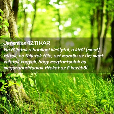 Picture 02 - Jeremiás 42:11 KAR - Ne féljetek a babiloni királytól, a kitõl - Bible Verse Picture