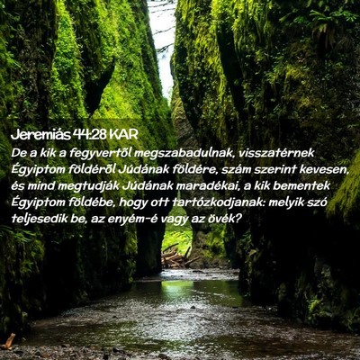 Picture 02 - Jeremiás 44:28 KAR - De a kik a fegyvertõl megszabadulnak, - Bible Verse Picture