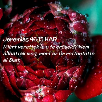 Picture 02 - Jeremiás 46:15 KAR - Miért verettek le a te erõseid? Nem állhattak - Bible Verse Picture