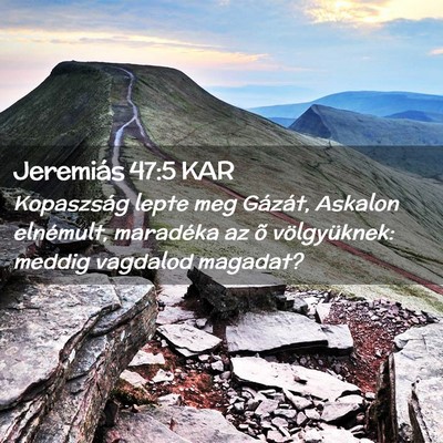 Picture 02 - Jeremiás 47:5 KAR - Kopaszság lepte meg Gázát, Askalon elnémult, - Bible Verse Picture