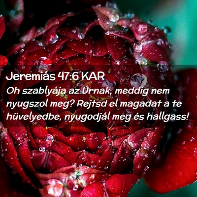 Picture 02 - Jeremiás 47:6 KAR - Oh szablyája az Úrnak, meddig nem nyugszol meg? - Bible Verse Picture