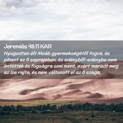 Picture 02 - Jeremiás 48:11 KAR - Nyugodtan élt Moáb gyermekségétõl fogva, és - Bible Verse Picture