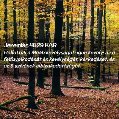 Picture 02 - Jeremiás 48:29 KAR - Hallottuk a Moáb kevélységét: igen kevély; - Bible Verse Picture
