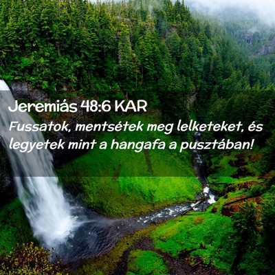 Picture 02 - Jeremiás 48:6 KAR - Fussatok, mentsétek meg lelketeket, és legyetek - Bible Verse Picture