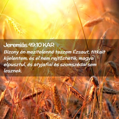 Picture 02 - Jeremiás 49:10 KAR - Bizony én mezítelenné teszem Ézsaut, titkait - Bible Verse Picture