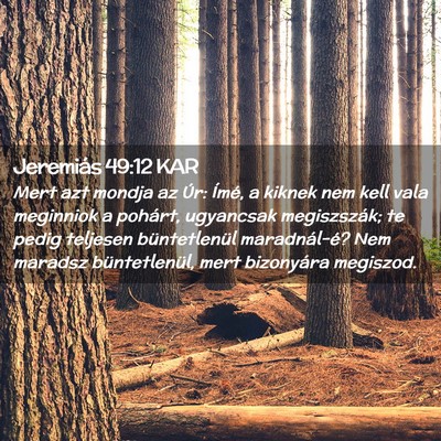 Picture 02 - Jeremiás 49:12 KAR - Mert azt mondja az Úr: Ímé, a kiknek nem kell - Bible Verse Picture