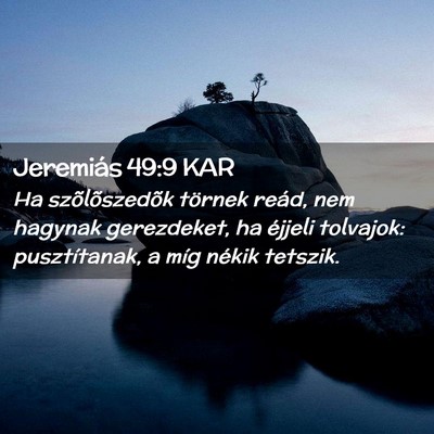 Picture 02 - Jeremiás 49:9 KAR - Ha szõlõszedõk törnek reád, nem hagynak - Bible Verse Picture