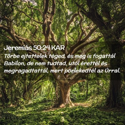 Picture 02 - Jeremiás 50:24 KAR - Tõrbe ejtettelek téged, és meg is fogattál - Bible Verse Picture