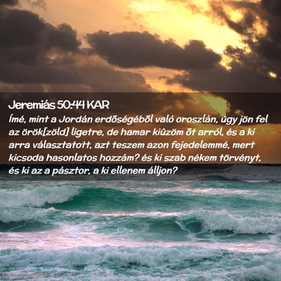 Picture 02 - Jeremiás 50:44 KAR - Ímé, mint a Jordán erdõségébõl való - Bible Verse Picture