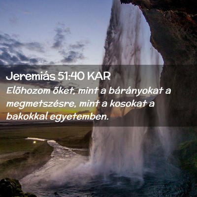 Picture 02 - Jeremiás 51:40 KAR - Elõhozom õket, mint a bárányokat a - Bible Verse Picture