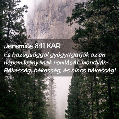 Picture 02 - Jeremiás 8:11 KAR - És hazugsággal gyógyítgatják az én népem - Bible Verse Picture