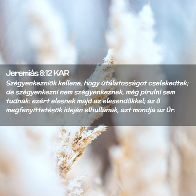 Picture 02 - Jeremiás 8:12 KAR - Szégyenkezniök kellene, hogy útálatosságot - Bible Verse Picture